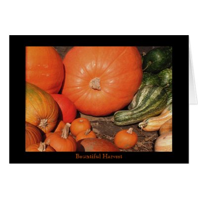  Bountiful Harvest Greeting Cards by bhbphotos