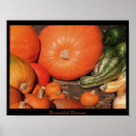 Bountiful Harvest Poster