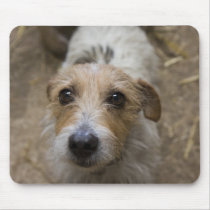 Bounty mousepads