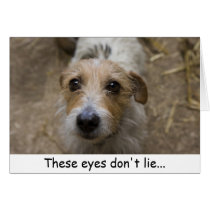 Bounty, These eyes don't lie... cards