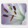 Bouquet 1 mouse pads