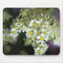 Bouquet 3 mouse pads