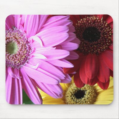 Bouquet 7 mouse mats by kimboj1