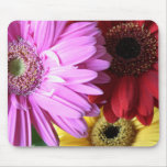 Bouquet 7 mousepads