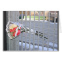 bouquet flowers at wtc cards