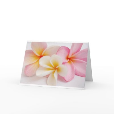 bouquet of frangipanis cards by kelliem