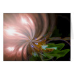 Bouquet of Lights Note Card