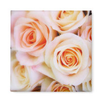 Bouquet of Roses Magnets