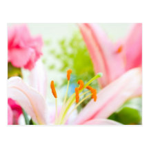 Bouquet Post Card