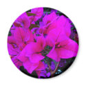 bourgenvilla magnets