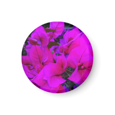 bourgenvilla refrigerator magnet by roseroserose