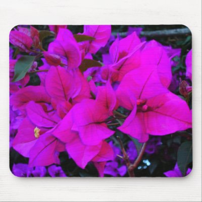 bourgenvilla mousepad by roseroserose
