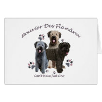 Bouvier Des Flandres Can't Have Just One Greeting Cards