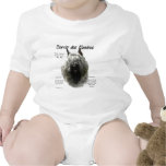 Bouvier des Flandres History Design
