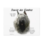 Bouvier des Flandres History Design