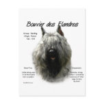 Bouvier des Flandres History Design