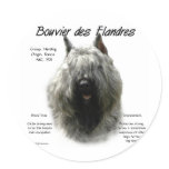 Bouvier des Flandres History Design