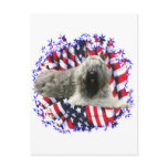 Bouvier des Flandres Patriot