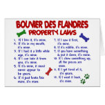 BOUVIER DES FLANDRES Property Laws 2 cards
