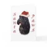 Bouvier des Flandres Santa Paws