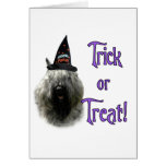 Bouvier des Flandres Trick cards