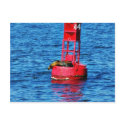 Bouy In San Diego Bay With A Seal On It postcards