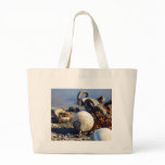 Bouys in chains bags