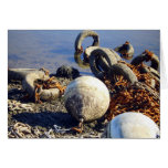 Bouys in chains cards