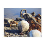 Bouys in chains postcards
