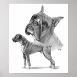 Bover Dogs posters