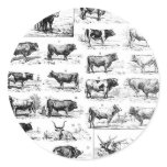 Bovine Chart stickers