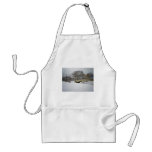 Bow Bridge, Winter Trees, Central Park, NYC aprons