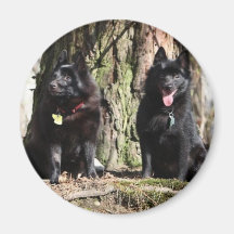 Bowen & Quincy Fridge Magnet
