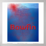 Bowfin: blood in the water posters