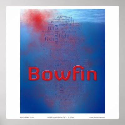 Bowfin: blood in the water by chinookdesign