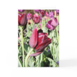 Bowing tulip card