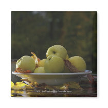 Bowl of apples and leaves magnets