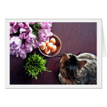 Bowl of eggs. Snapshot 1 Cards