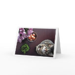 Bowl of eggs. Snapshot 2 Cards