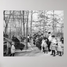 Bowler Hats at the Bear Pits, early 1900s Poster