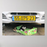 Box Cat 1 Print