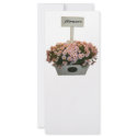 Box of daisies rack cards