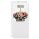 Box of daisies rack cards