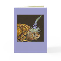 box turtle card