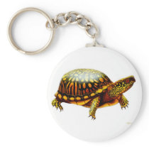 Box Turtle Keychain