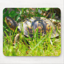Box Turtle Mousepad