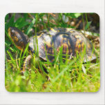 Box Turtle Mousepad