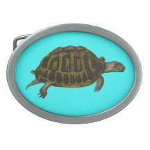 Box Turtle Oval Belt Buckles