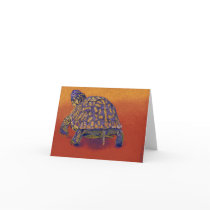 Box Turtle, tortoise Card