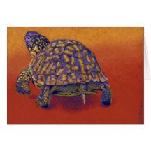 Box Turtle, tortoise Card